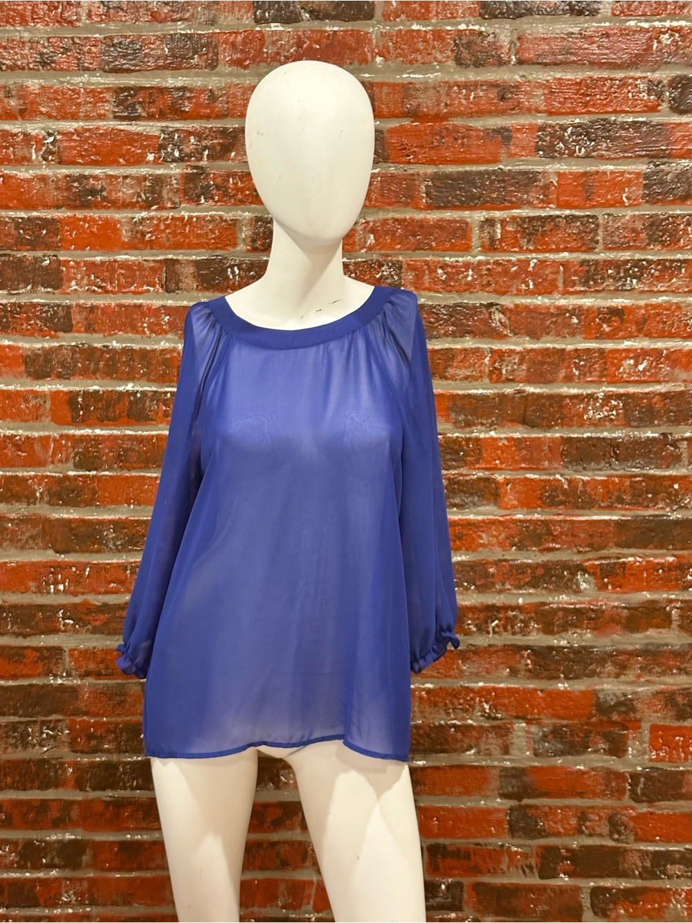 Petticoat Alley Sheer Cobalt Blue Long-Sleeve Blouse